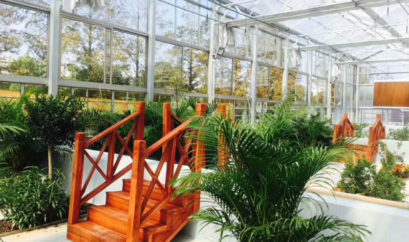 greenhouse interior.png